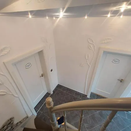 Residenz Seestern, Seeigel *